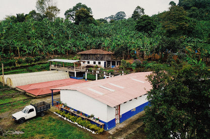 Schoenkaffee - Kolumbien - Midnight Bloom Direct Trade