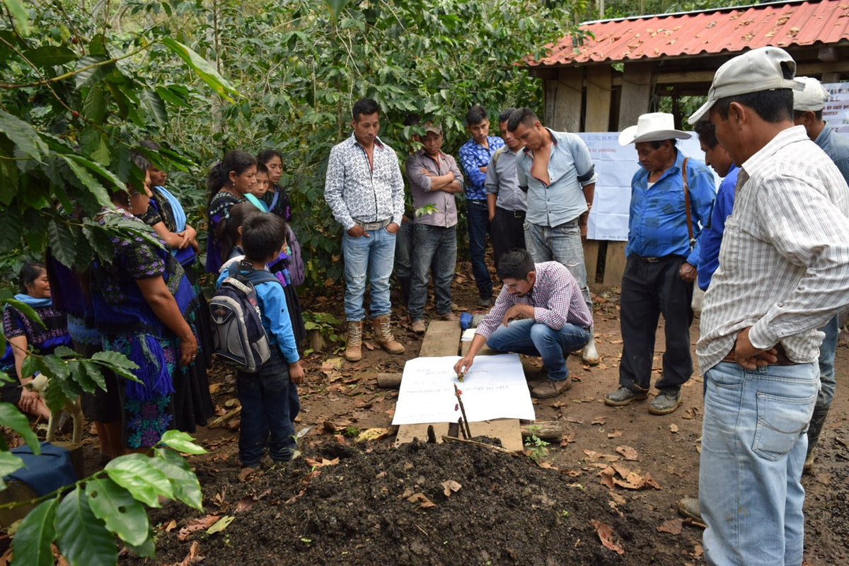 Schoenkaffee - Nocciola BIO / Espresso
