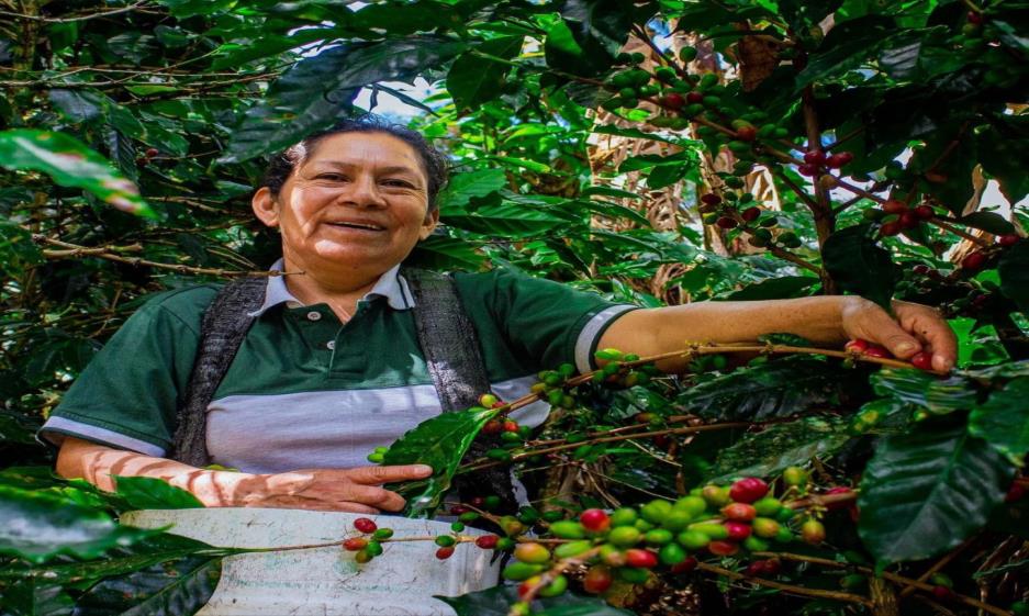 Schoenkaffee - Mujeres Fuertes BIO / Espresso